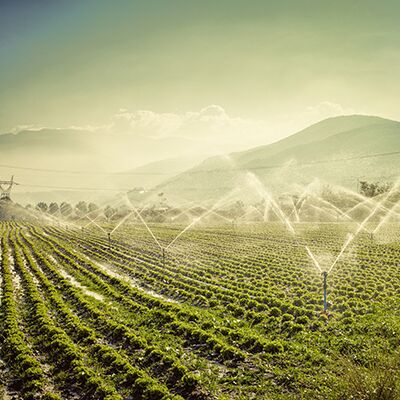 La technologie CPM (Continuous Pipe Manufactured) d'Inpulse Pipe trouve de nombreuses applications, comme l'irrigation La technologie CPM (Continuous Pipe Manufactured) d'Inpulse Pipe trouve de nombreuses applications, comme l'irrigation